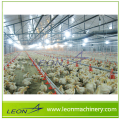 Leon series linha de alimentação altamente customizada para aves